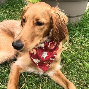 Dog Pet Bandana Cowboy Western Sheriff Cotton Tue Snap On Reversible Washable
